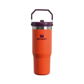 STANLEY CLASSIC ICEFLOW FLIP STRAW TUMBLER | 0.89L